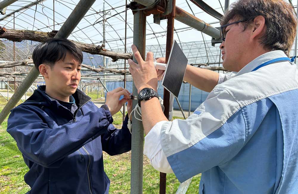 カメラの設置をしている様子