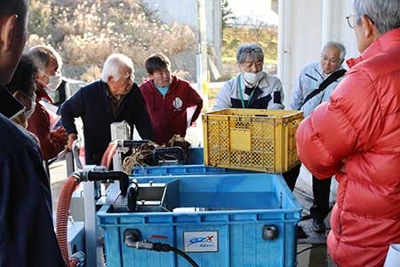 さといも洗浄テストの様子