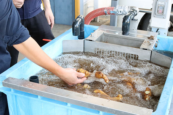 二流体根菜洗浄機200Lの洗浄中写真
