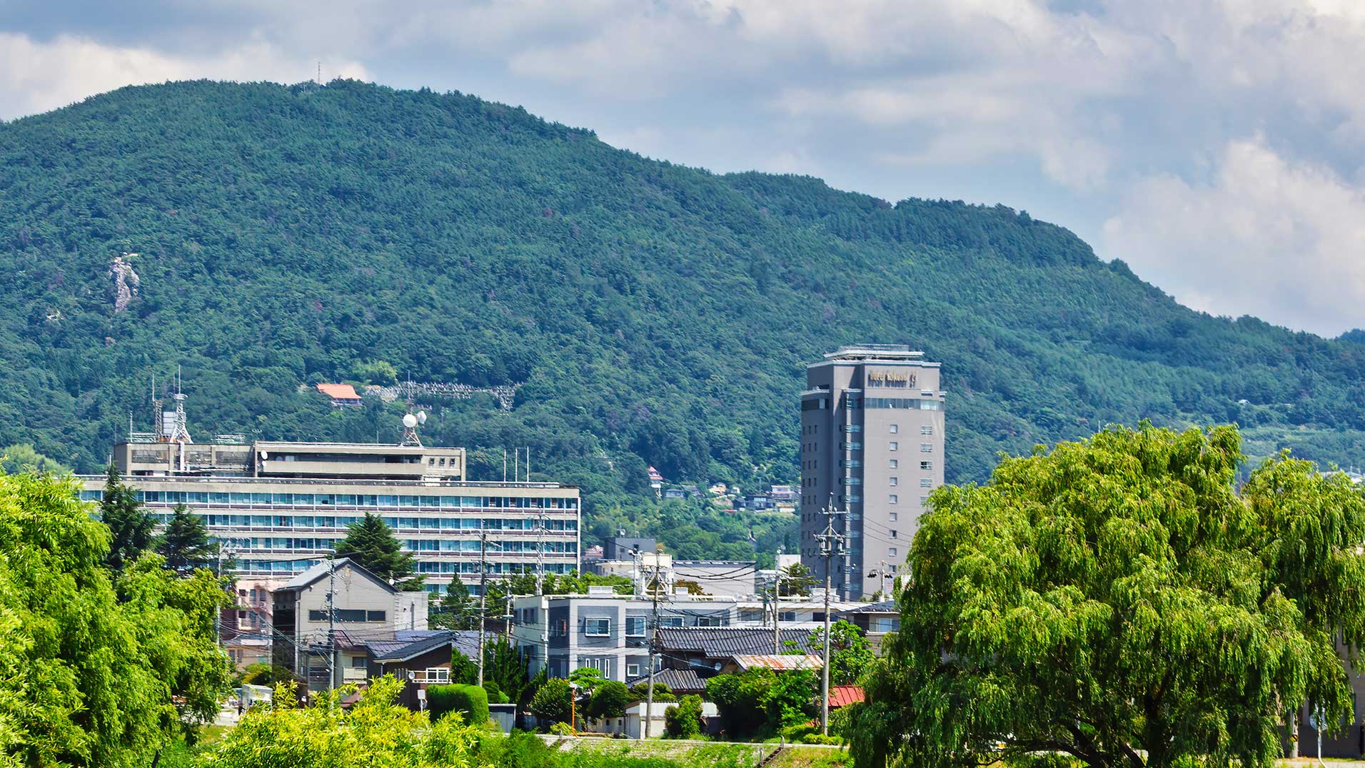 県全体での鳥獣被害対策